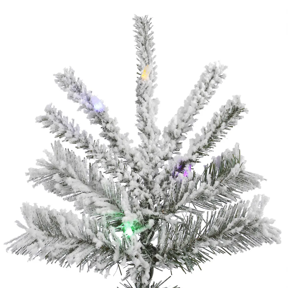 10' Flocked Sierra Fir Artificial Christmas Tree Colored LED Dura-Lit lights