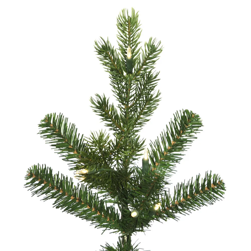 10' x 42" Eagle Fraser Slim Artificial Christmas Tree Clear Dura-lit Lights