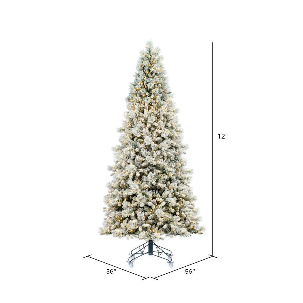 10' x 56" Flocked Jackson Pine Artificial Pre-Lit Xmas Tree Warm White Lights.