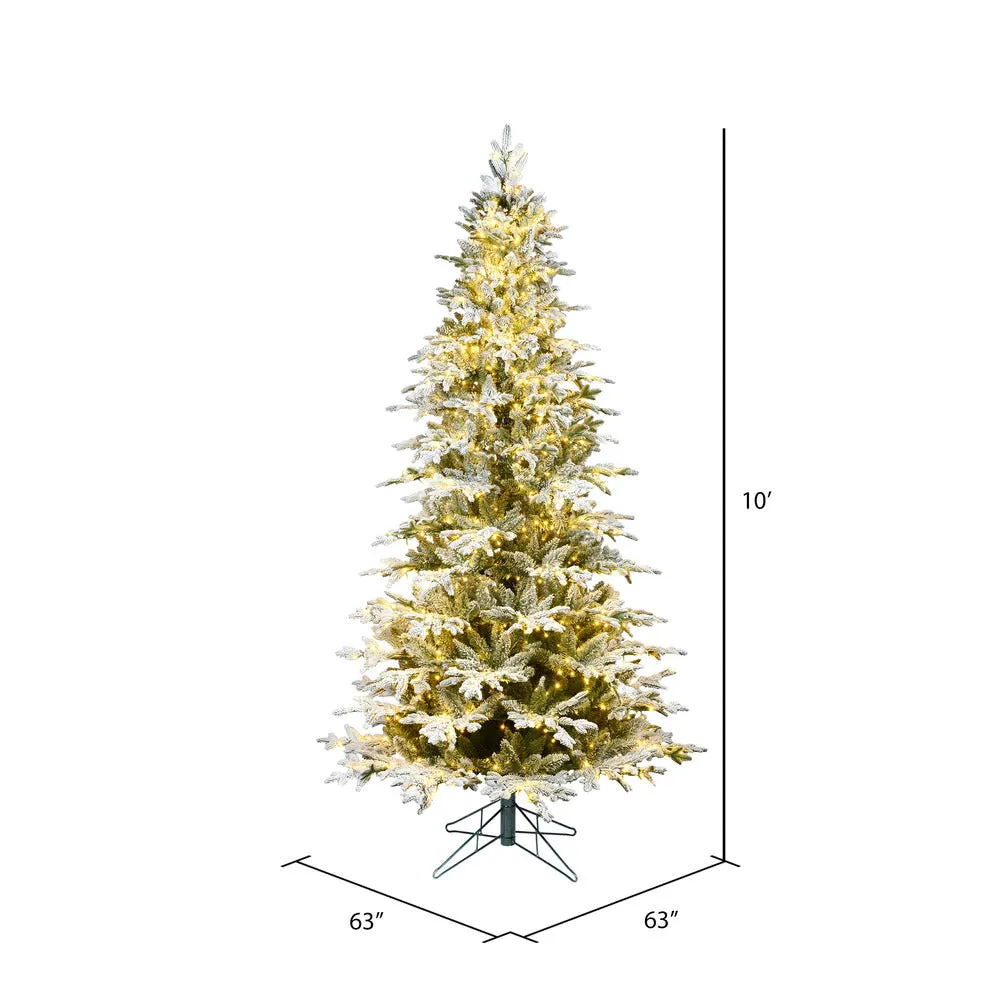 10' x 63" Flocked Kamas Fraser Artificial Christmas Tree Warm White Dura-Lit LED