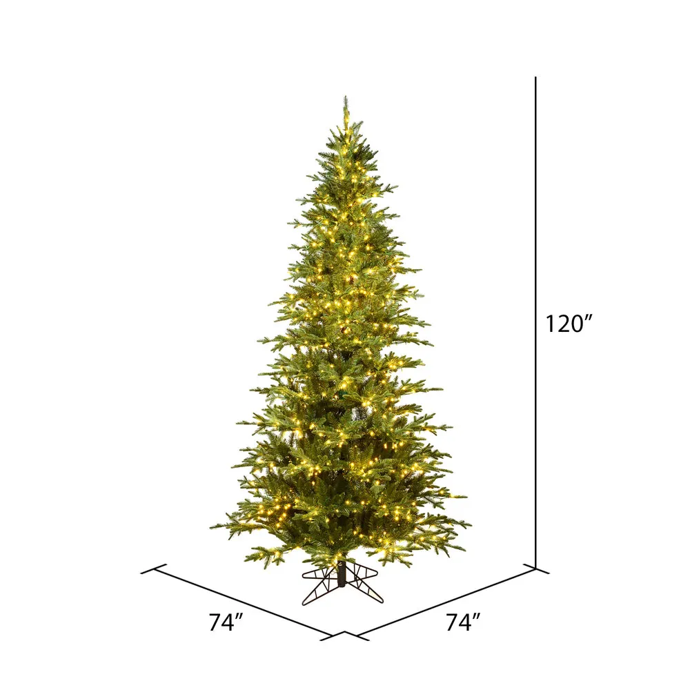 10' x 74" Kamas Fraser Fir Artificial Christmas Tree Warm White Dura-lit LED