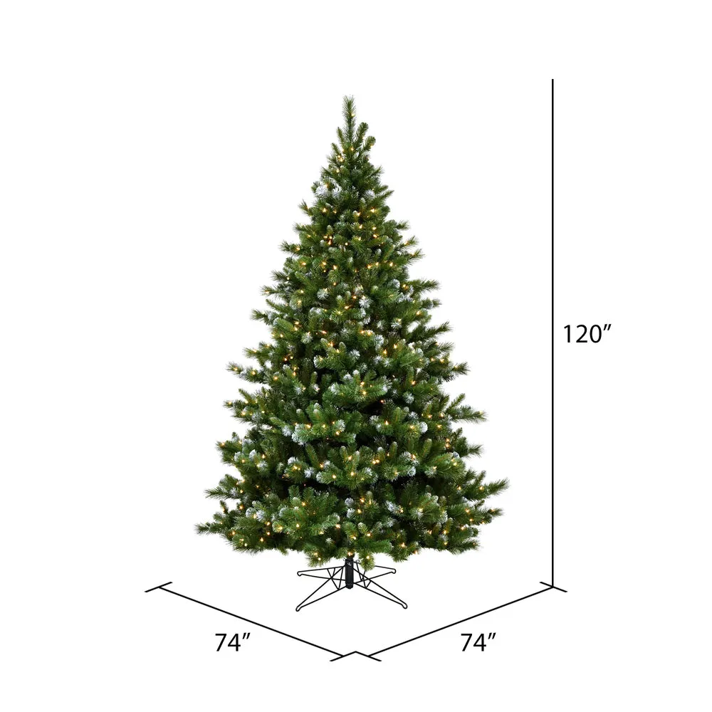 10' x 74" New Haven Spruce Artificial Christmas Tree  Clear Dura-lit Lights