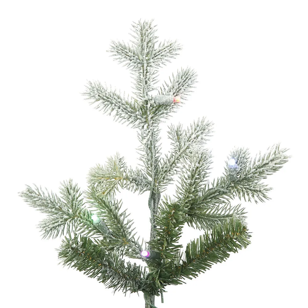 12' Frosted Denton Spruce Artificial Christmas Tree with 1600 Multi-Colored LED