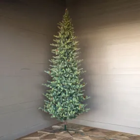 12' Slim Blue Spruce Tree with LED Lights