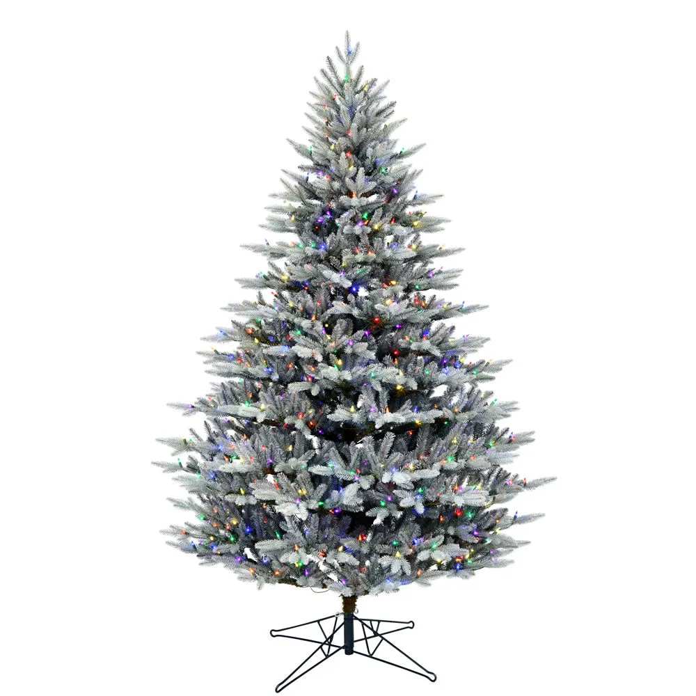 12' x 78" Douglas Blue Fir Artificial Christmas Tree Multi-colored Dura-Lit LED