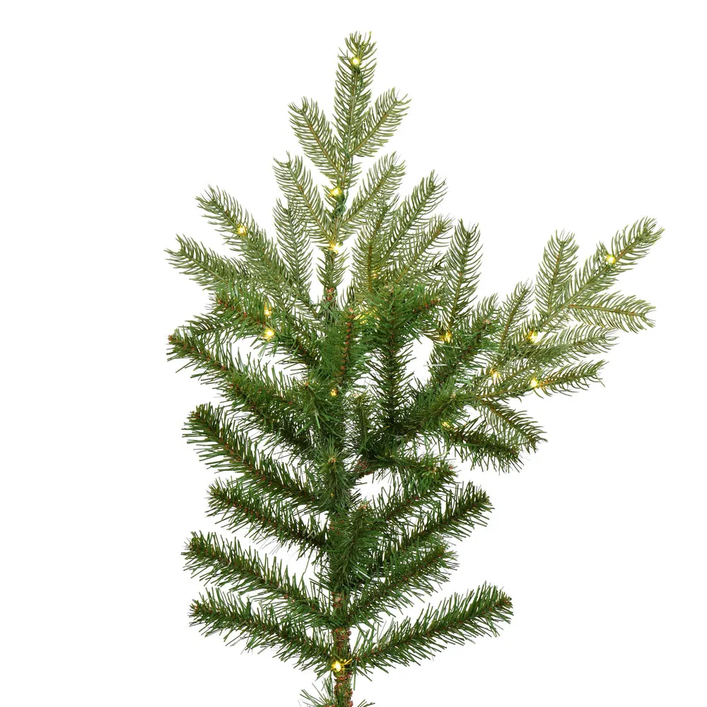 12' x 85" Sherwood Fir Artificial Christmas Tree Color Changing LED 3mm Lights