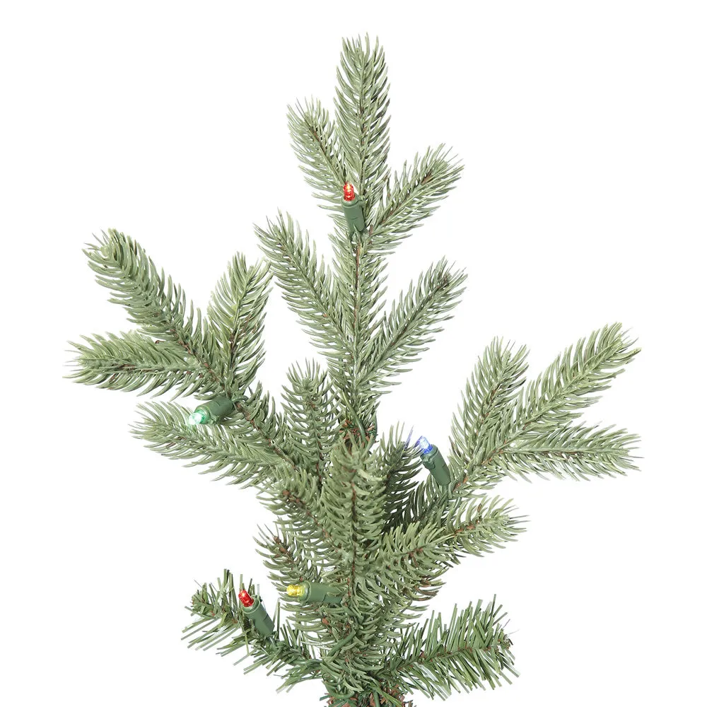 14' Princeston Fraser Fir Artificial Christmas Tree with 2400 Multi-Colored LED