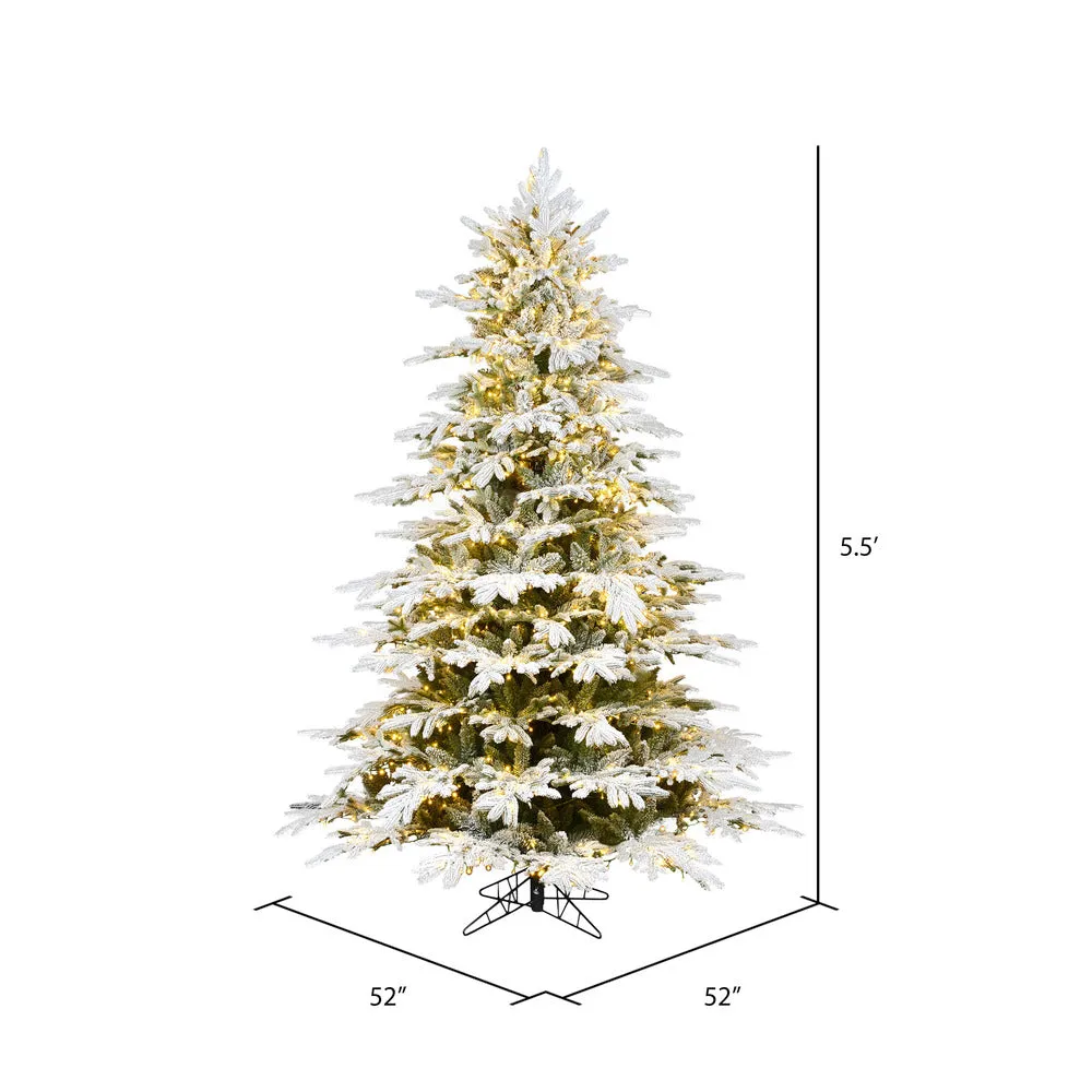 5.5' x 52" Flocked Kamas Fraser Artificial Xmas Tree Warm White Dura-Lit LED