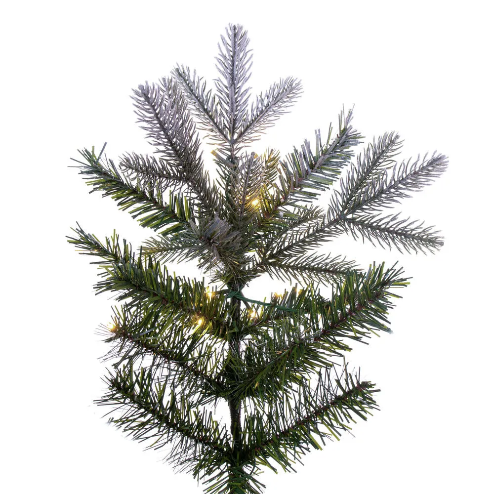 6.5' x 40" Frosted Douglas Fir Artificial Pre-Lit Xmas Tree Warm White 3mm LED