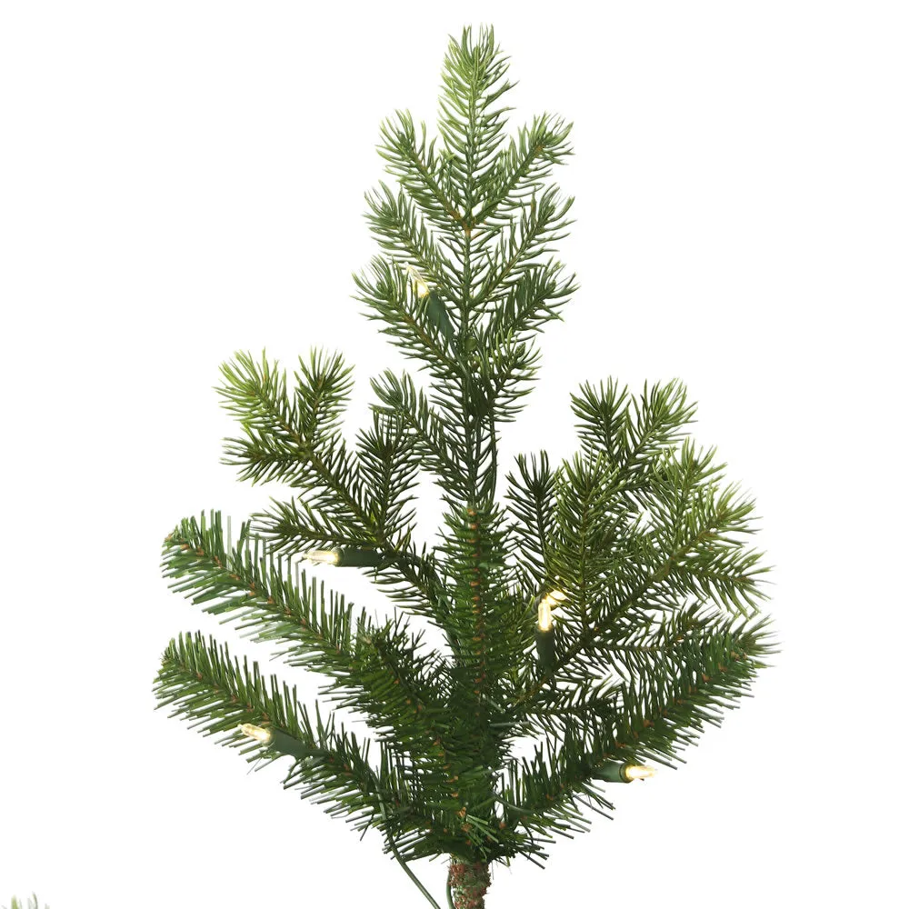 6.5' x 50" Eagle Fraser Fir Full Artificial Christmas Tree with Warm White LED.