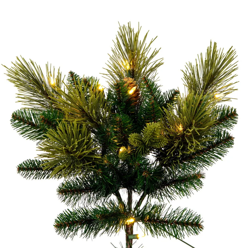 6.5' x 56" Emerald Mixed Fir Artificial Christmas Tree with Warm White LED.