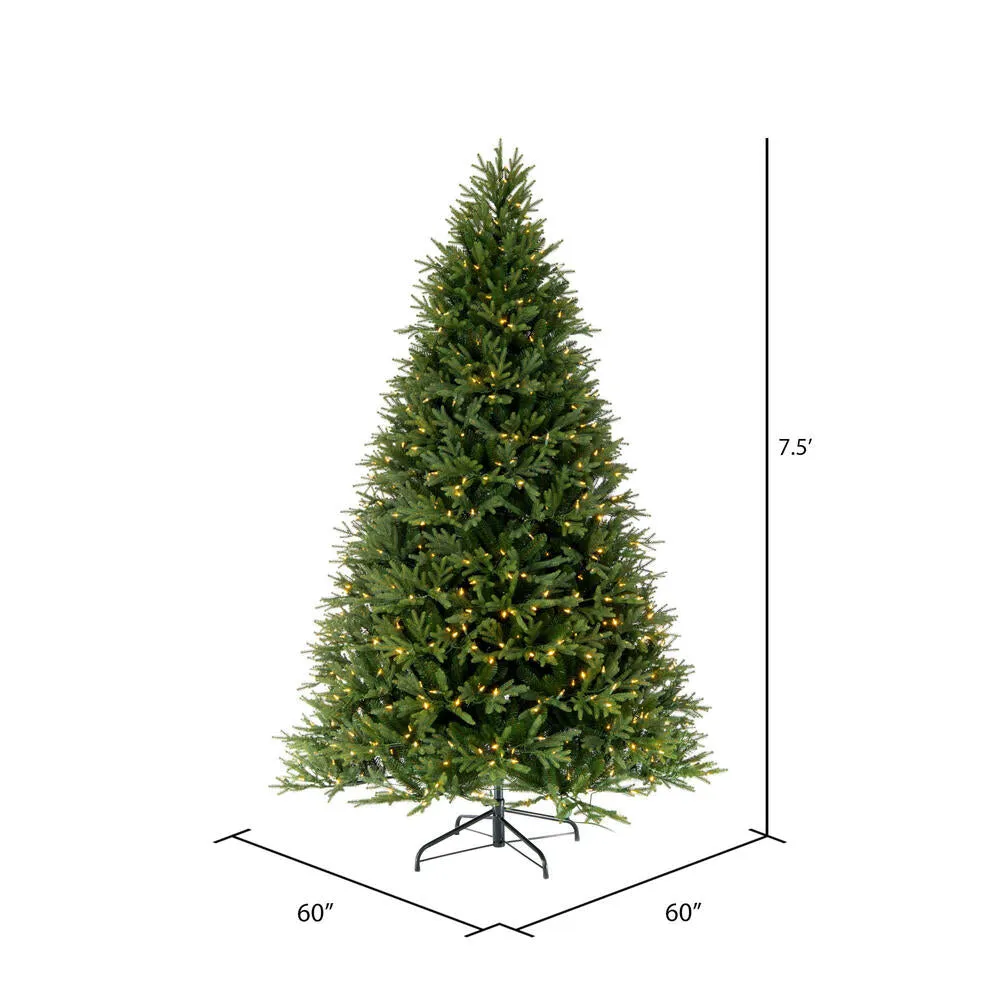 7.5' x 60" Tiffany Fraser Fir Artificial Christmas Tree with Warm White LED.