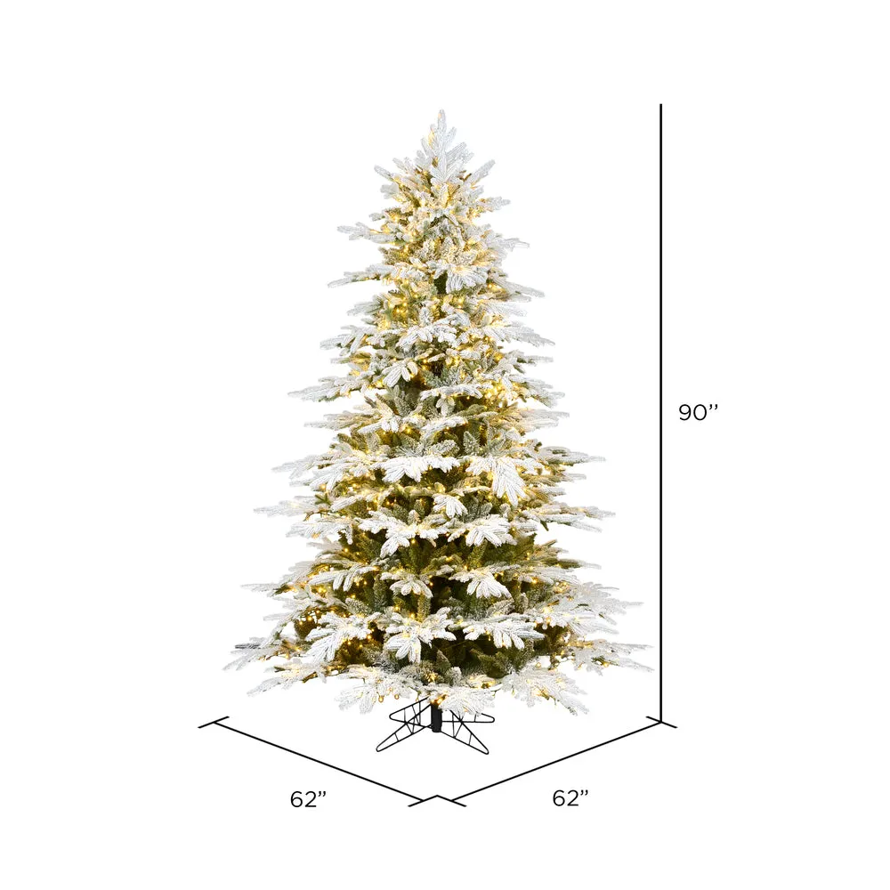 7.5' x 62" Flocked Kamas Fraser Artificial Xmas Tree Warm White Dura-Lit LED