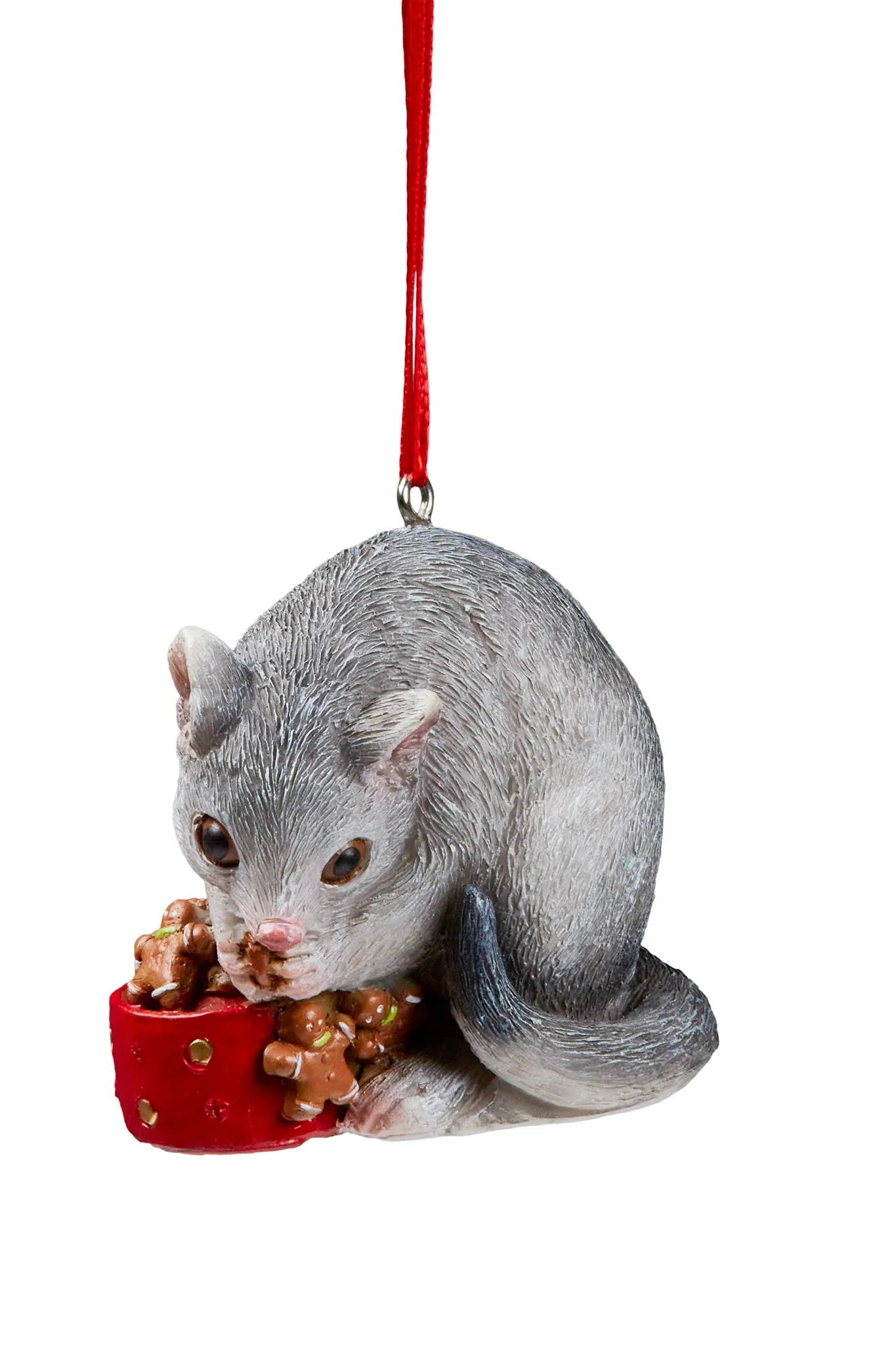 Australian Christmas Ringtail Possum